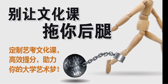 藝考生文化課輔導(dǎo)